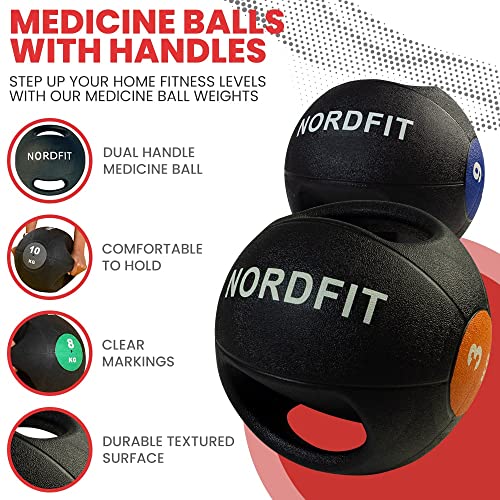 Apoliam Medicine Balls with Handles – Fitness and Home Gym Equipment