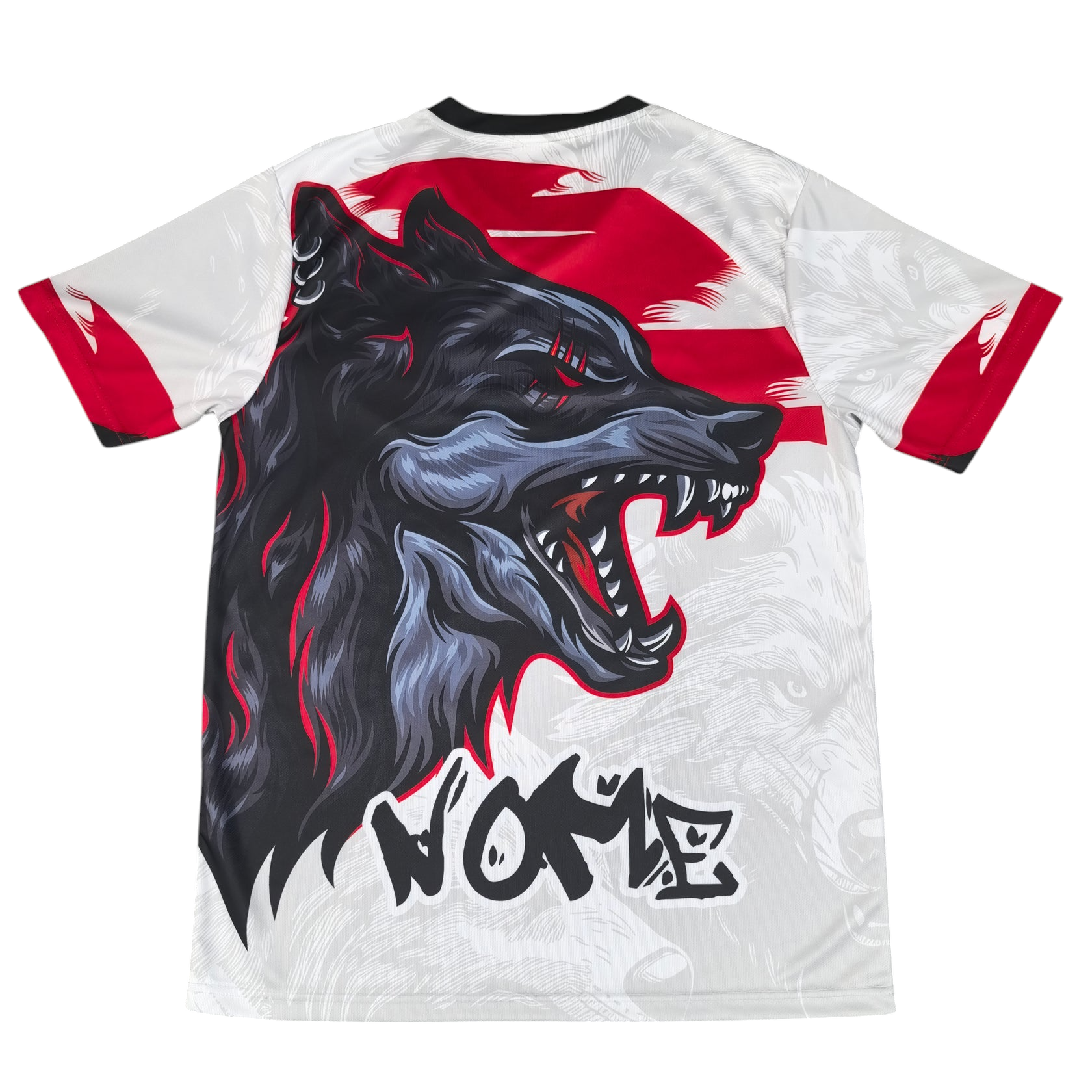 JAPAN 2025/26 CONCEPT SHIRT