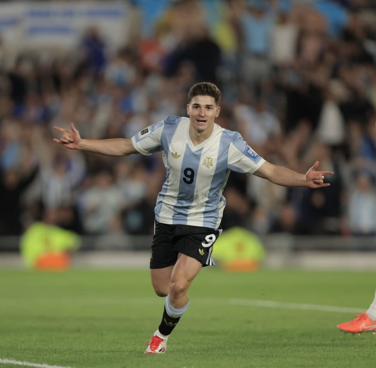 Argentinien Trikot 2025 50-jähriges Jubiläum