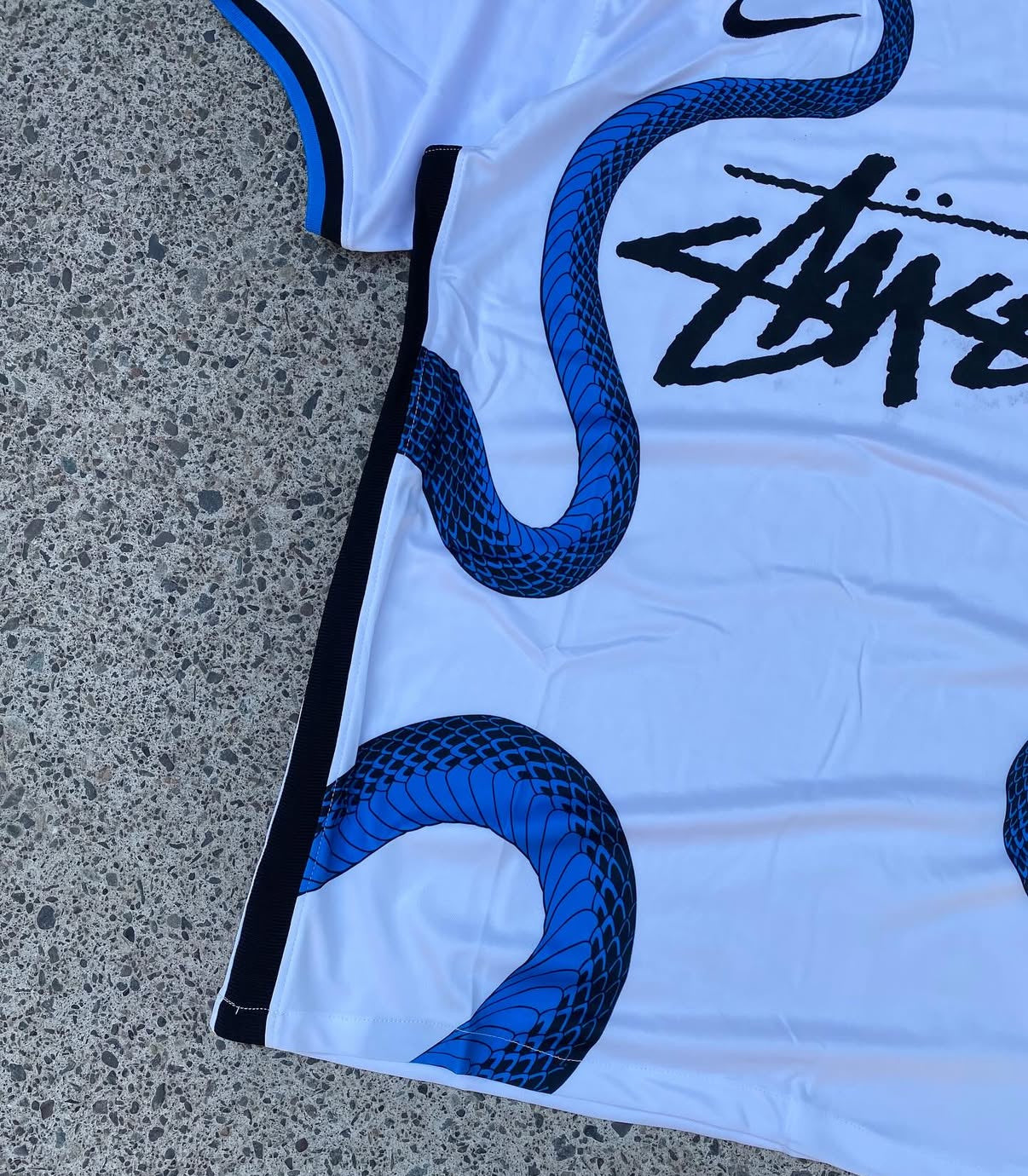 Maglia Speciale Inter Milan Snake X Stussy
