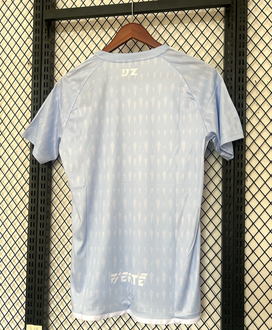 Algerien DZ x Palästina Spezialedition Trikot 2025/2026