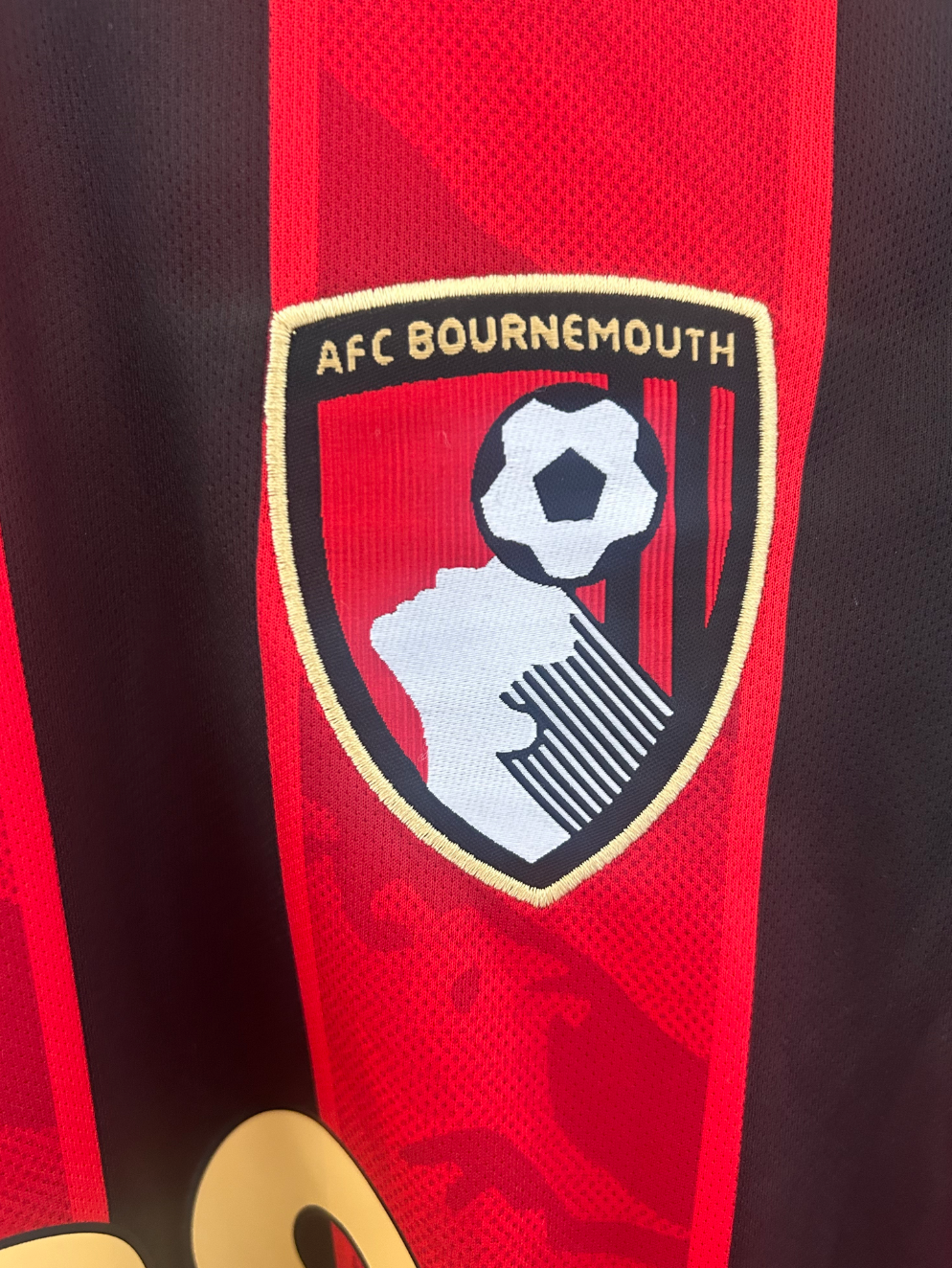 AFC Bournemouth Trikot 2025/2026