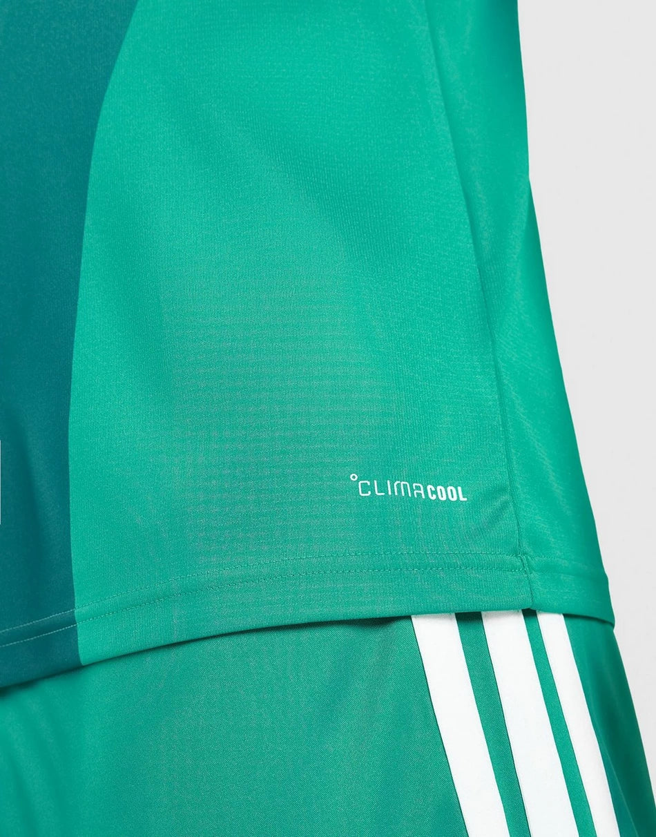 Northern Ireland 2026 Home Jersey