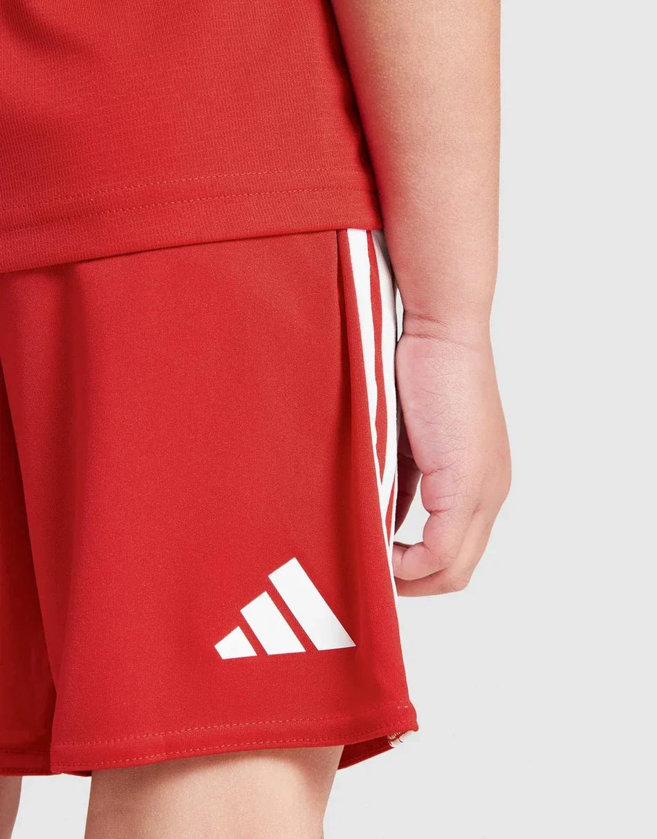 Equipamento Copa do Mundo País de Gales 2026 Casa Crianças