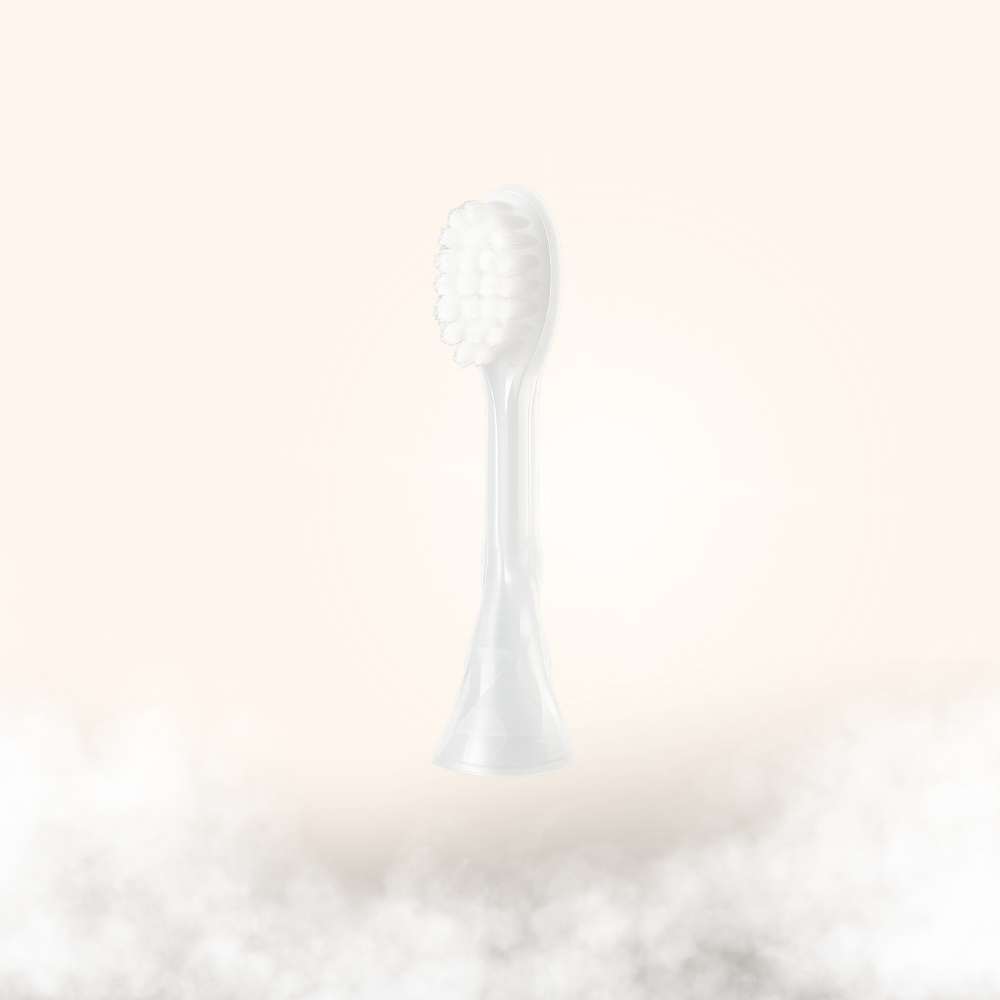 Brush Attachment