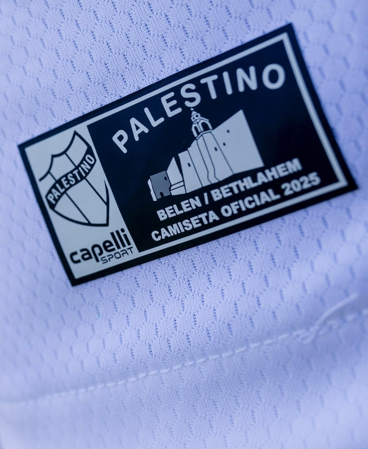 Equipamento alternativo Palestino Palestina 2025/2026