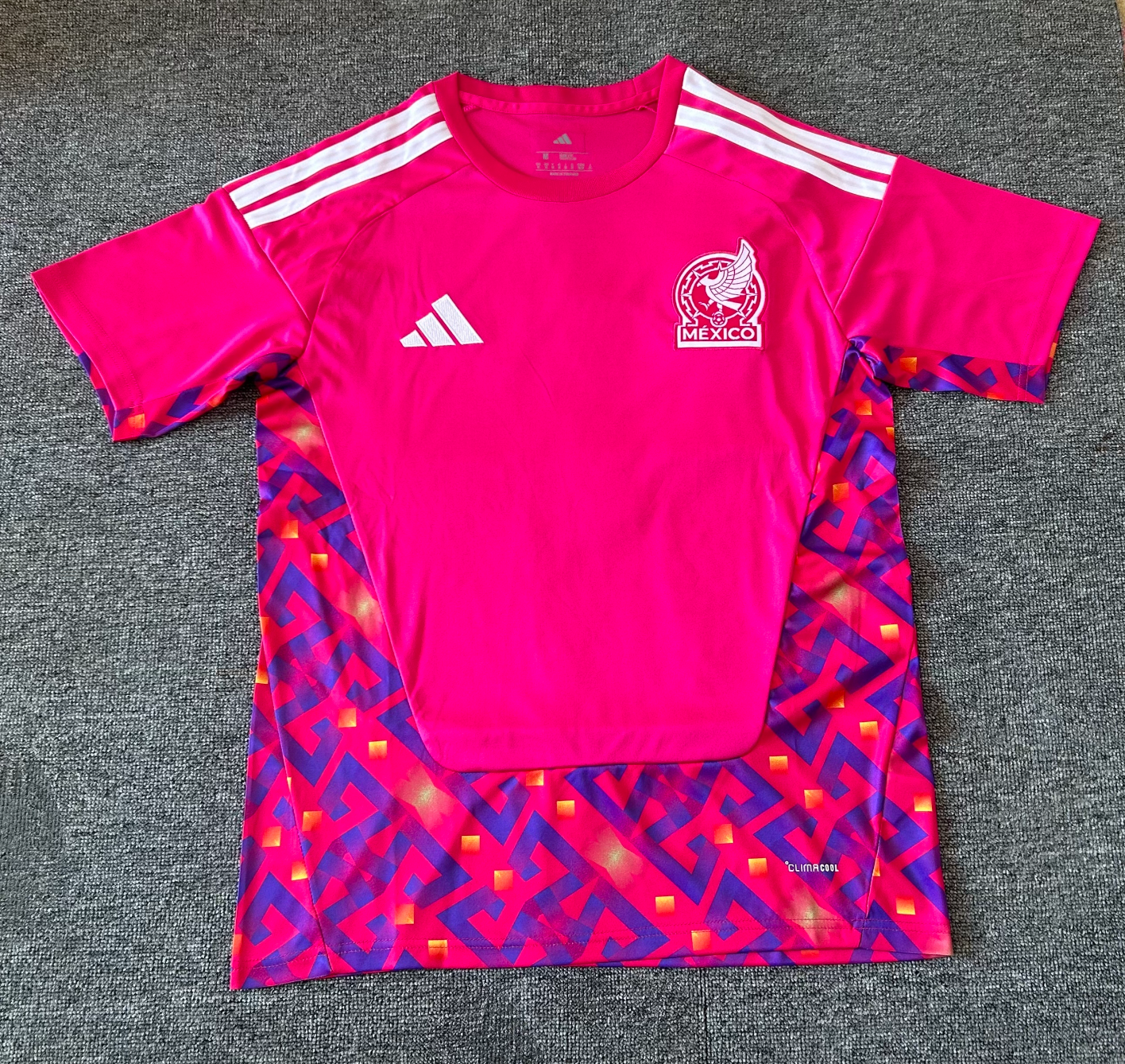 Mexiko 2026 Pinkes Torwarttrikot